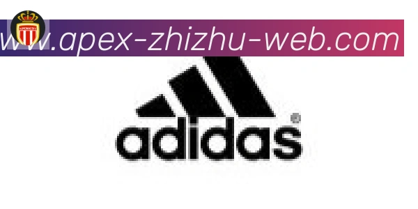 蜘蛛直播合作伙伴